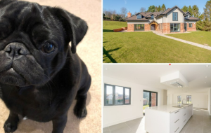 Ralph reviews a detached new build house in Kelsall