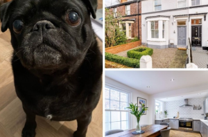 ralph reviews a mid terrace property in Hoole 