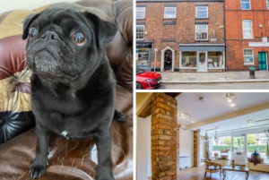 Ralph reviews a period property with shop in tarporley