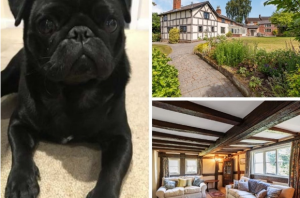 Ralph reviews a grade II farmhouse in clutton 