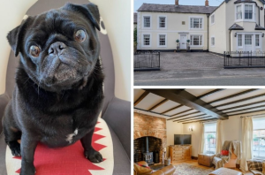 Ralph reviews a period property in holt 