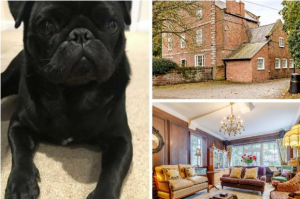 Ralph reviews a grade II period property in farndon 