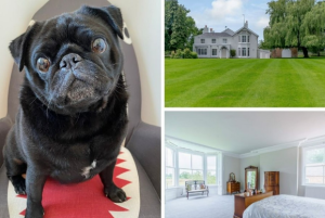 Ralph reviews a country house with ten acres in chester 