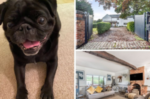 Ralph reviews a period cottage near tarporley 