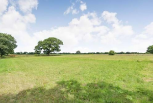 Ralph reviews a unique Grade II listed windmill near Chester view