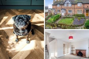 Ralph reviews a mid terrace cottage in farndon 