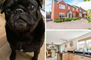 ralph reviews a detached house in farndon 