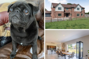 ralph reviews a family house in budworth
