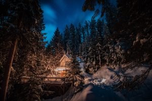 a wooden chalet in a snowy forest